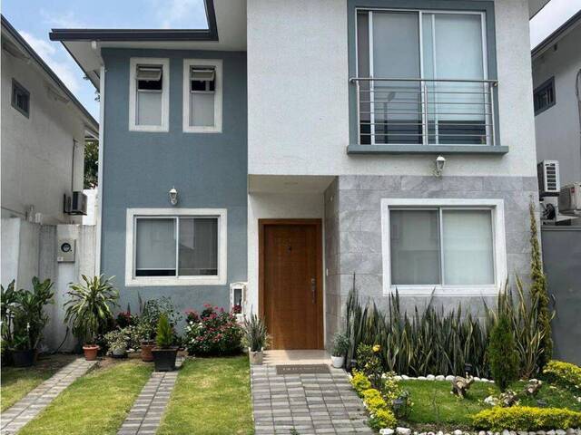 Venta en Av Leon Febres Cordero - Daule